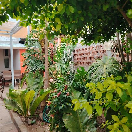 El Chirris B&B San Juan La Laguna Luaran gambar
